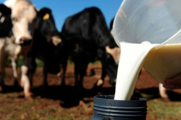Mercado de lácteos registra movimento atípico em março e incertezas preocupam setor