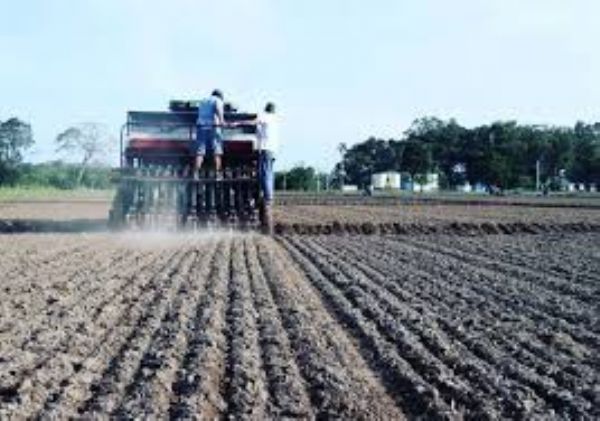 Plantar é mais que colocar a semente na terra