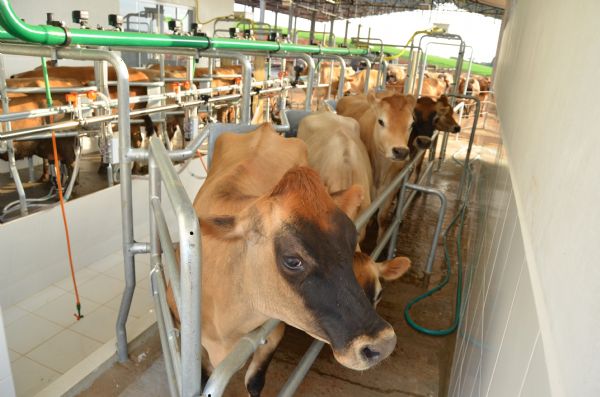  Representantes do Sindicato Rural participam de reuni&atilde;o da Comiss&atilde;o T&eacute;cnica de Leite da FAEP