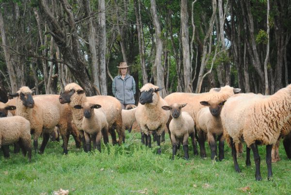 Mulheres do Campo