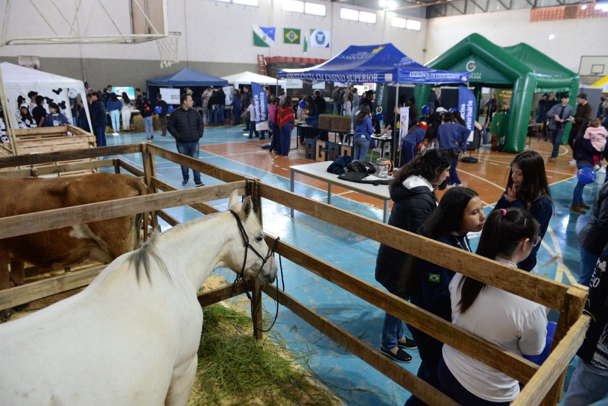 Colégio Estadual do Campo Cívico-Militar da Palmeirinha realiza 4ª Feira de Agronegócios