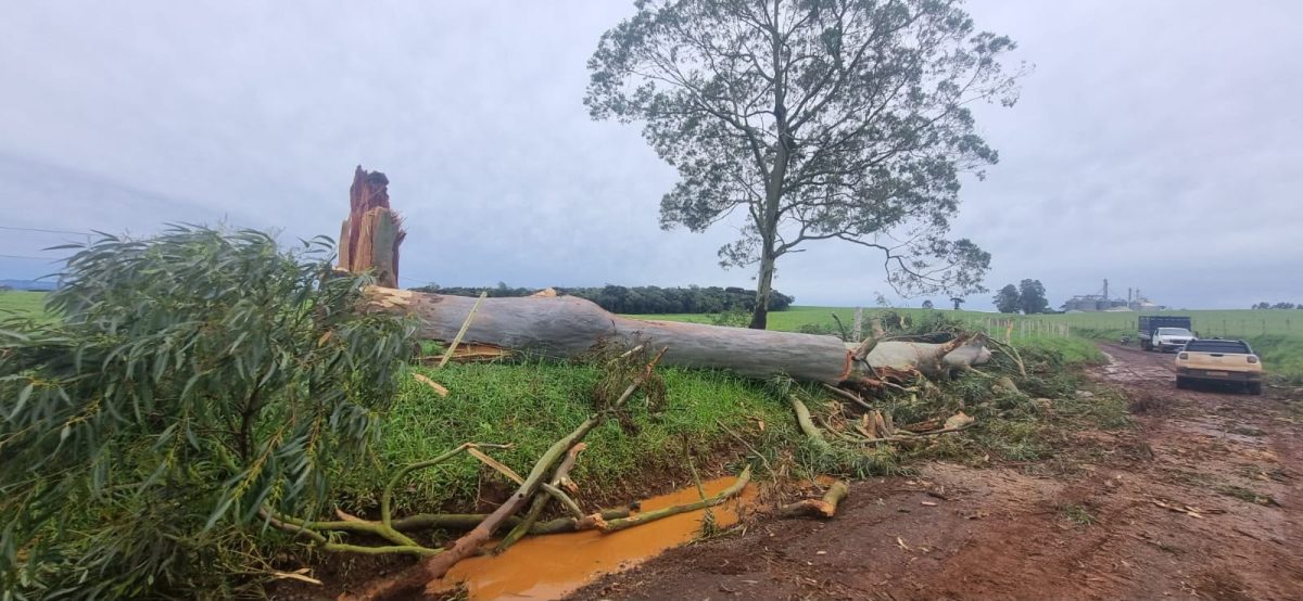 Após temporal do dia 4, vários produtores relatam  demora no restabelecimento da eletricidade